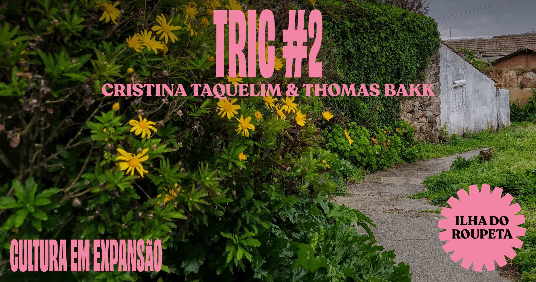 Cultura em Expansão - TRIC #2