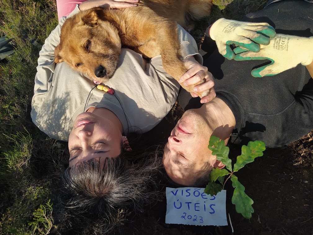 No passado dia 25 de novembro, o Visões Úteis plantou cerca de 50 árvores no contexto da plantação anual de compensação, em colaboração com o Movimento Terra Solta.