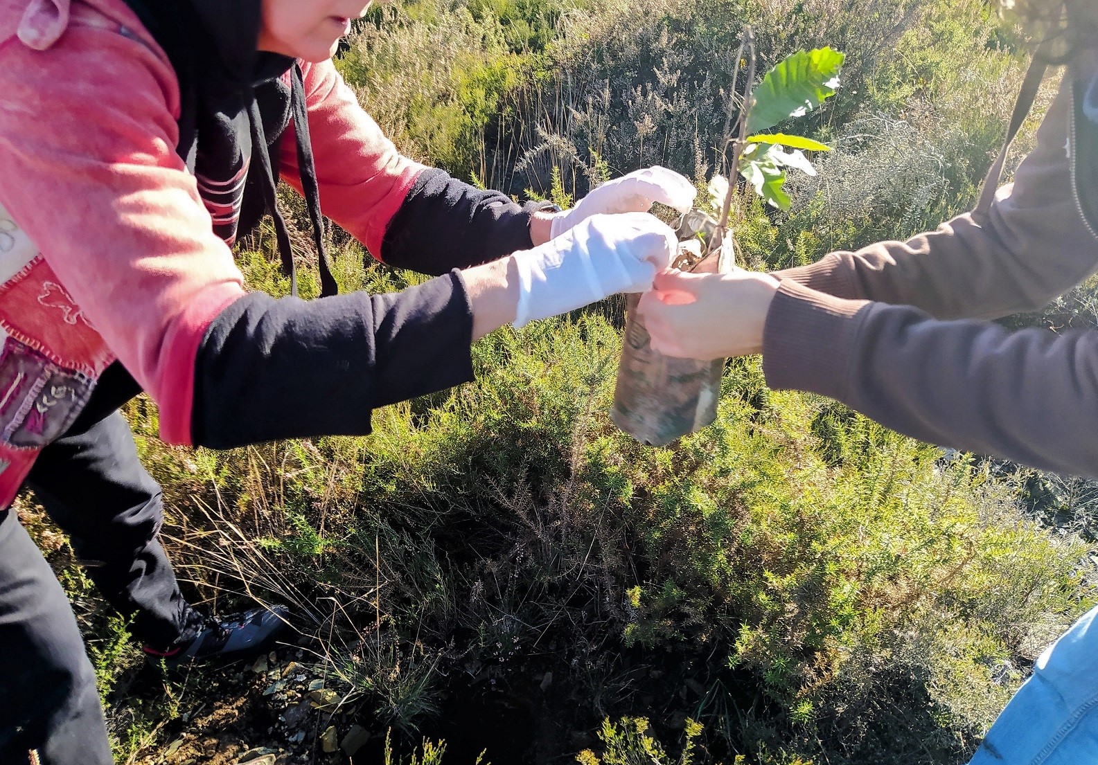 Sustentabilidade