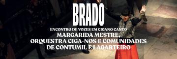 cee_brado2.jpg