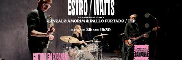 estro_watts.jpg